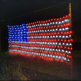 Flag Net Light